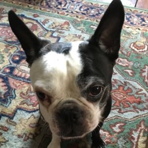 Meet your Posher, Meghan